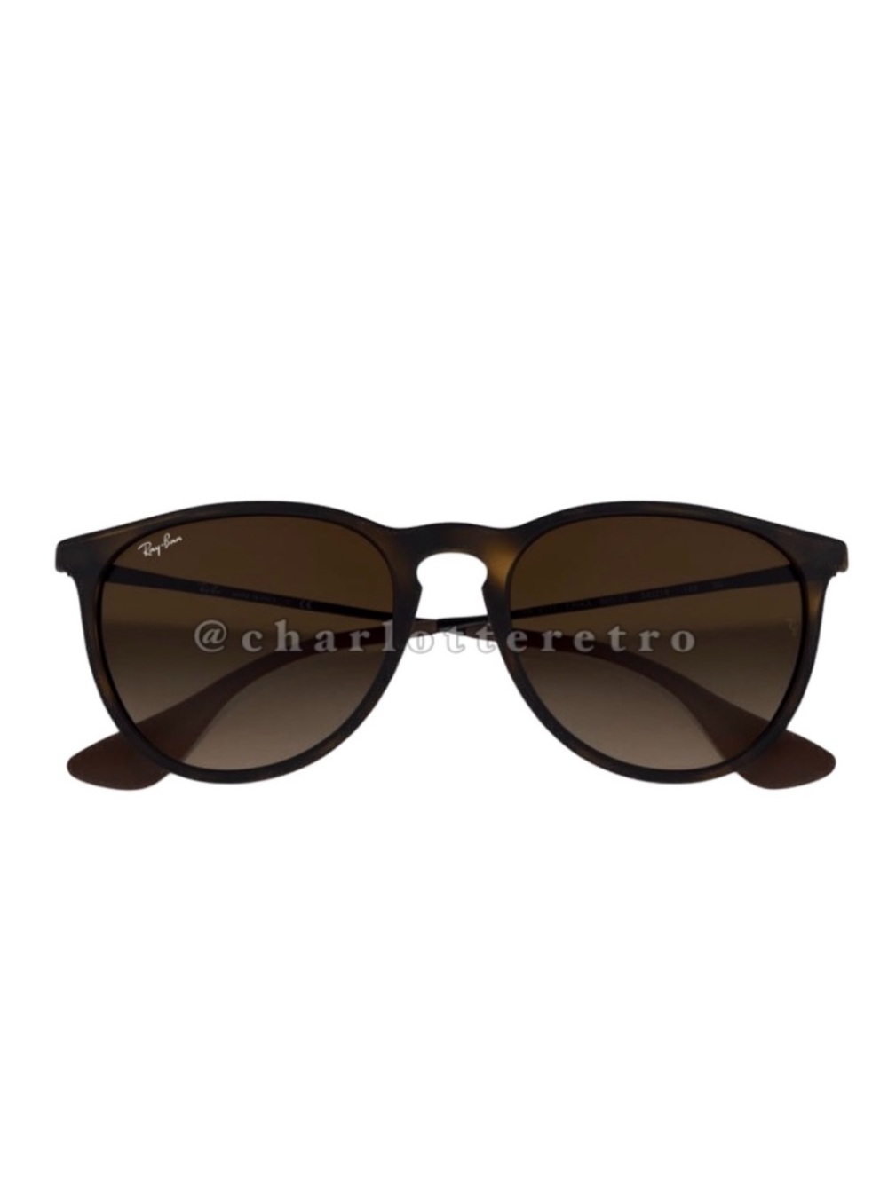 Ray-Ban ERIKA Sunglasses w Signature Case | Italy